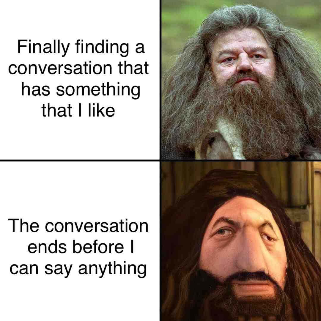 Meme shared by @zanderstrom10