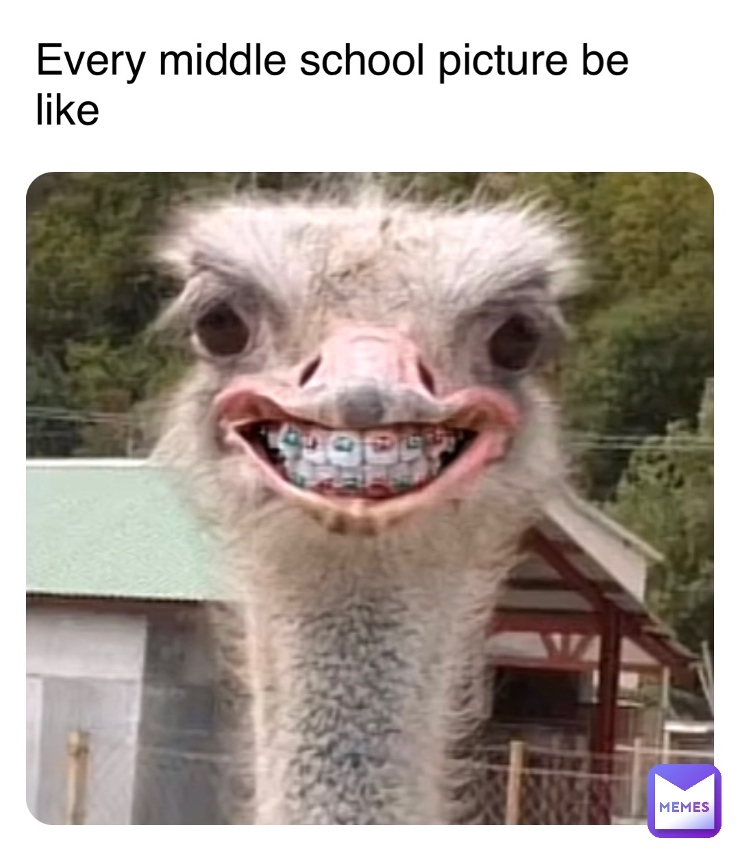 Meme by DailyMemePacks