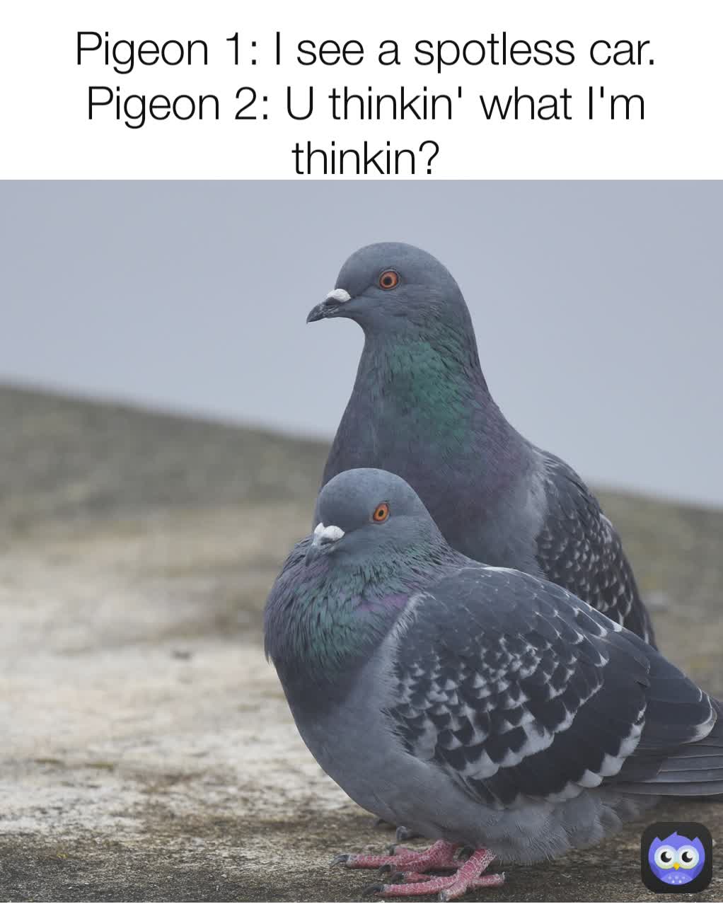 Meme by ALEKgamer4000