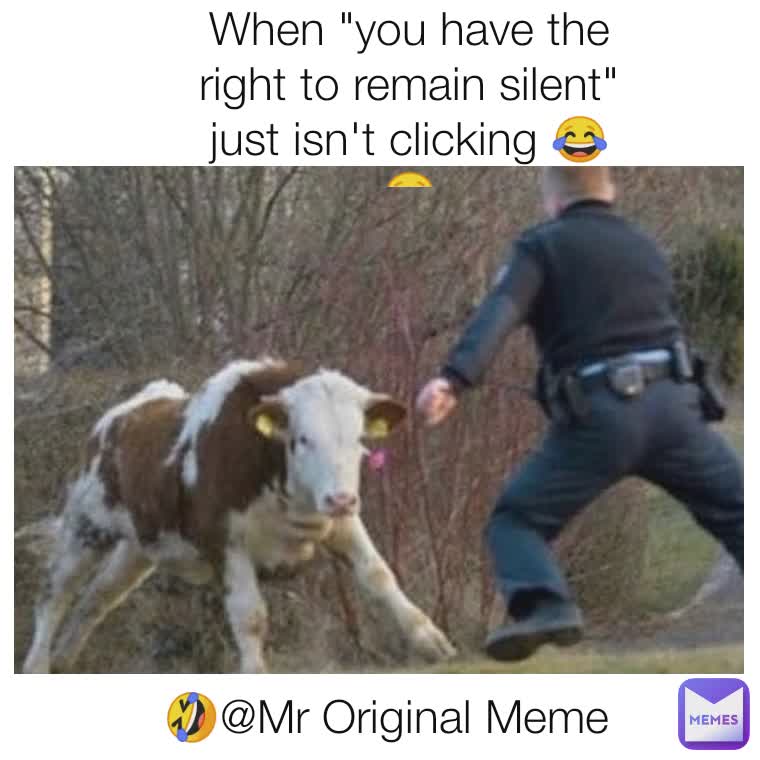 🤣@Mr Original Meme When "you have the right to remain silent" just isn't clicking 😂😂