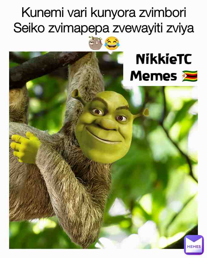 Meme shared by @NikkieTC