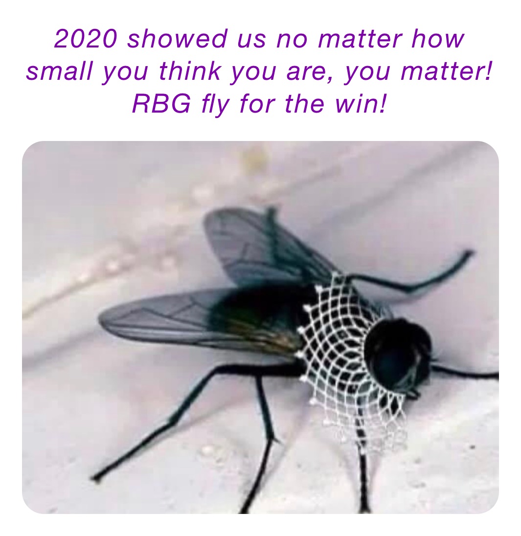 2020 showed us no matter how small you think you are, you matter!
RBG fly for the win!