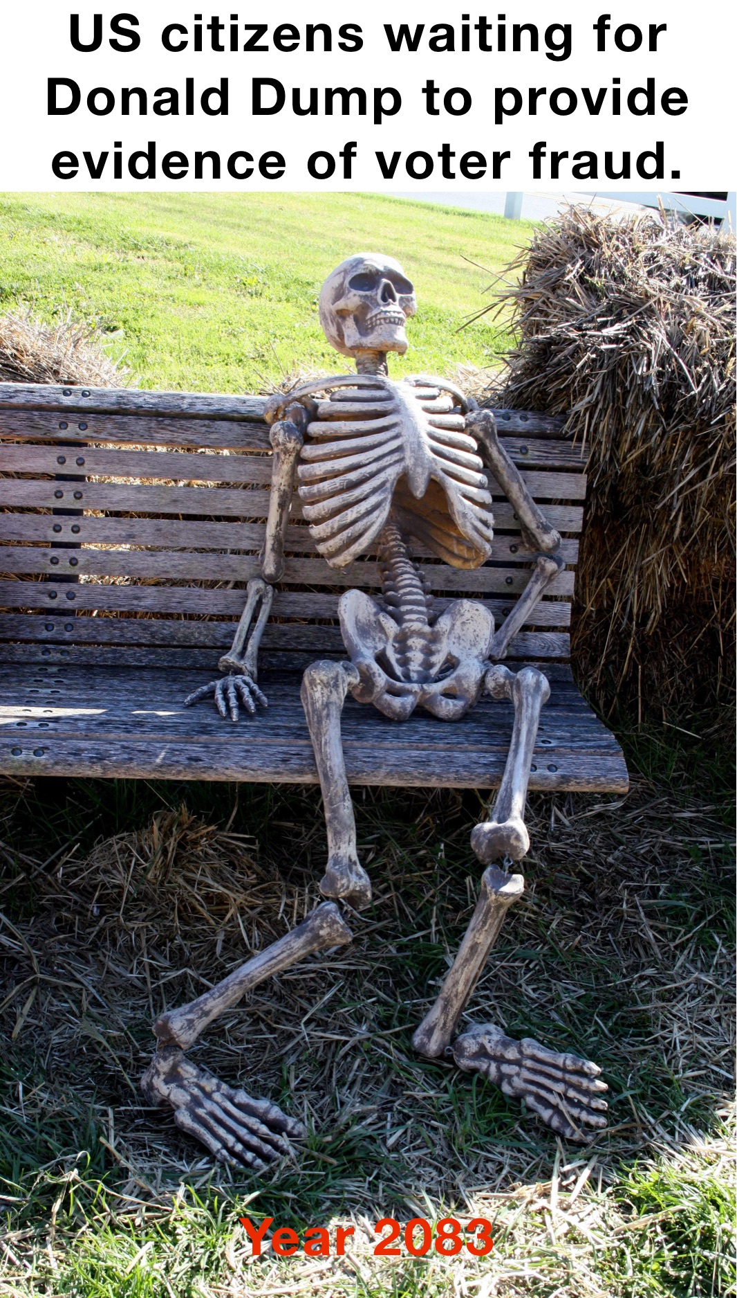US citizens waiting for Donald Dump to provide evidence of voter fraud. Year 2083