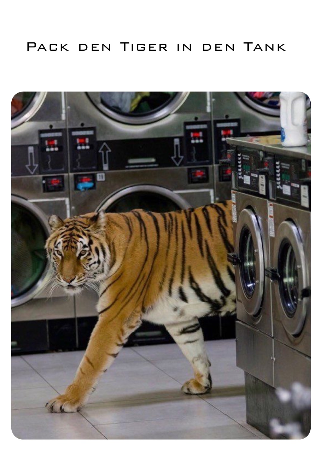 Pack den Tiger in den Tank