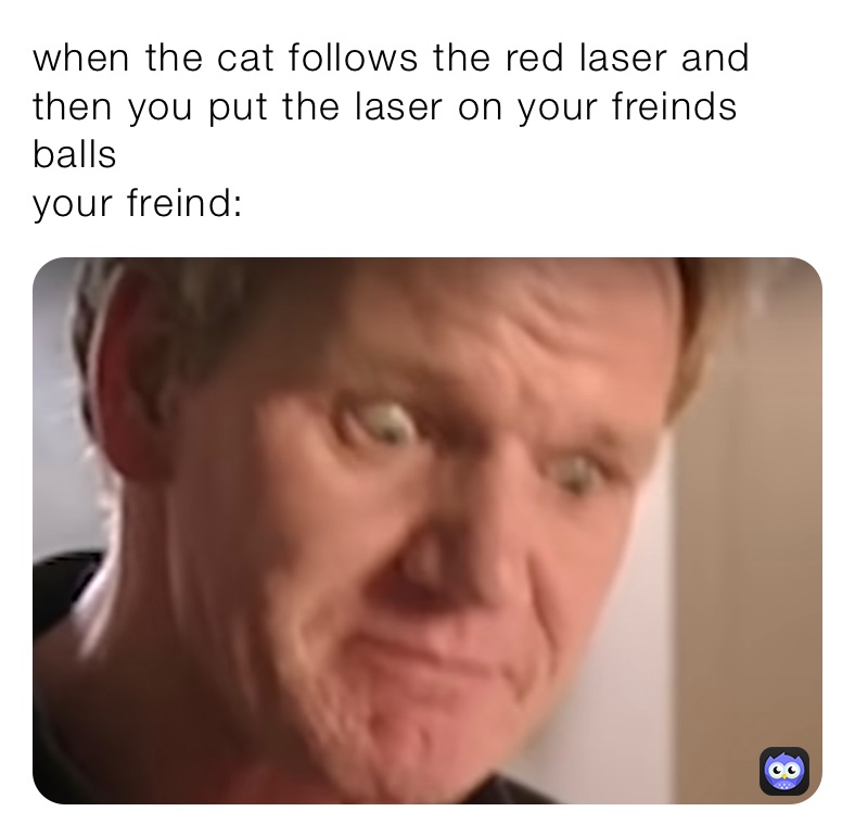 when the cat follows the red laser and then you put the laser on your freinds balls 
your freind: