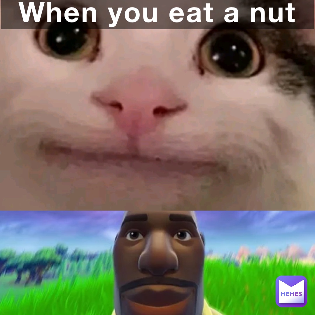 When you eat a nut