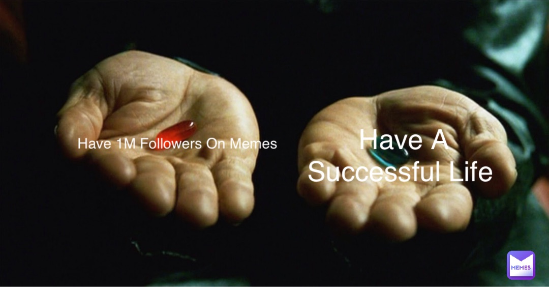 Have 1M Followers On Memes Have A Successful Life