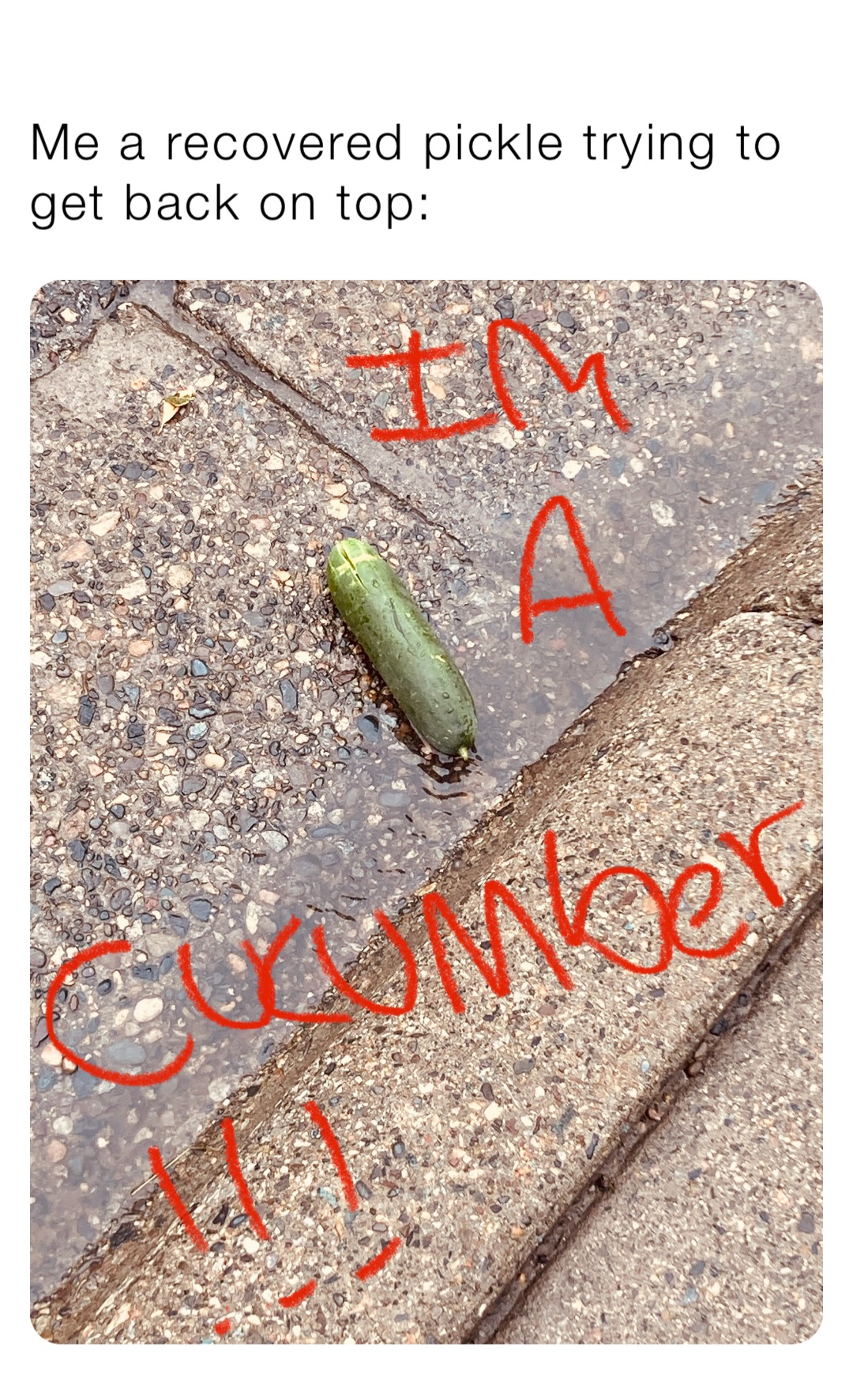 Me a recovered pickle trying to get back on top: