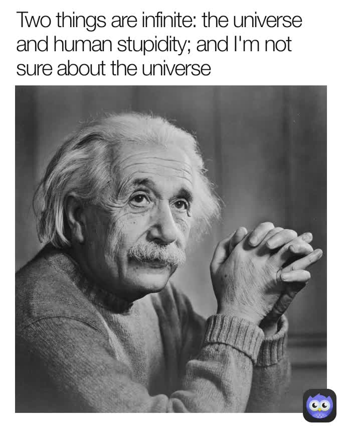 Two things are infinite: the universe and human stupidity; and I'm not sure about the universe