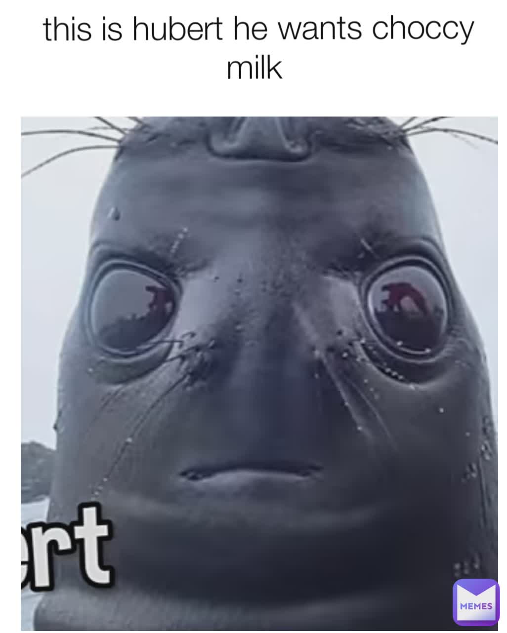 this is hubert he wants choccy milk 