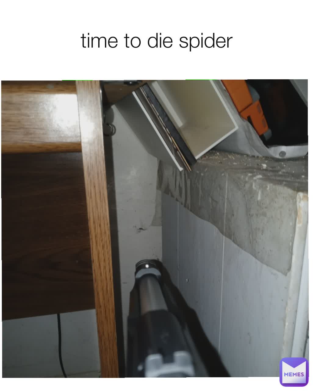 time to die spider