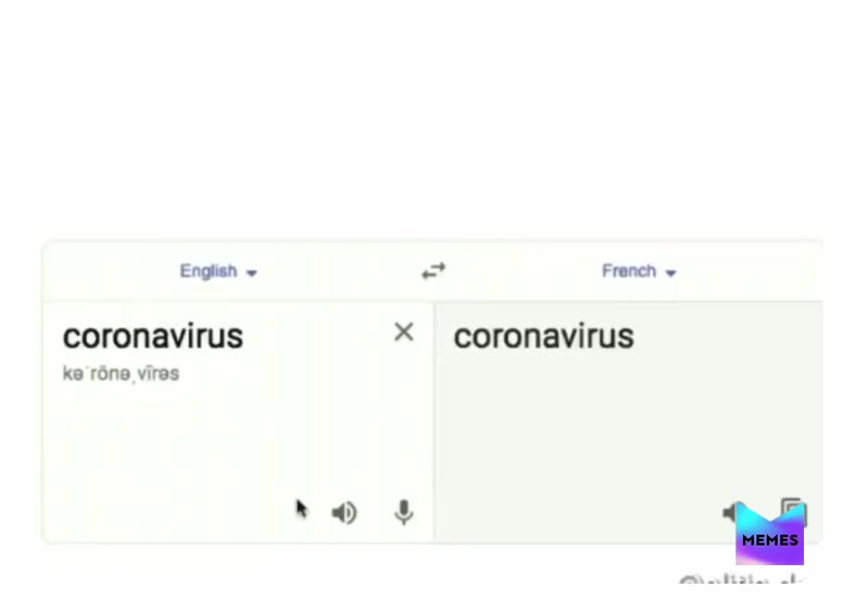#stayathome  #coronavirus  #frenchmemes