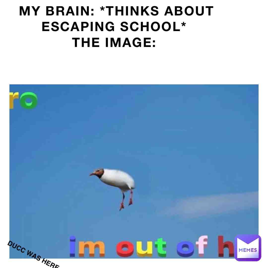 Meme shared by @duccbutt