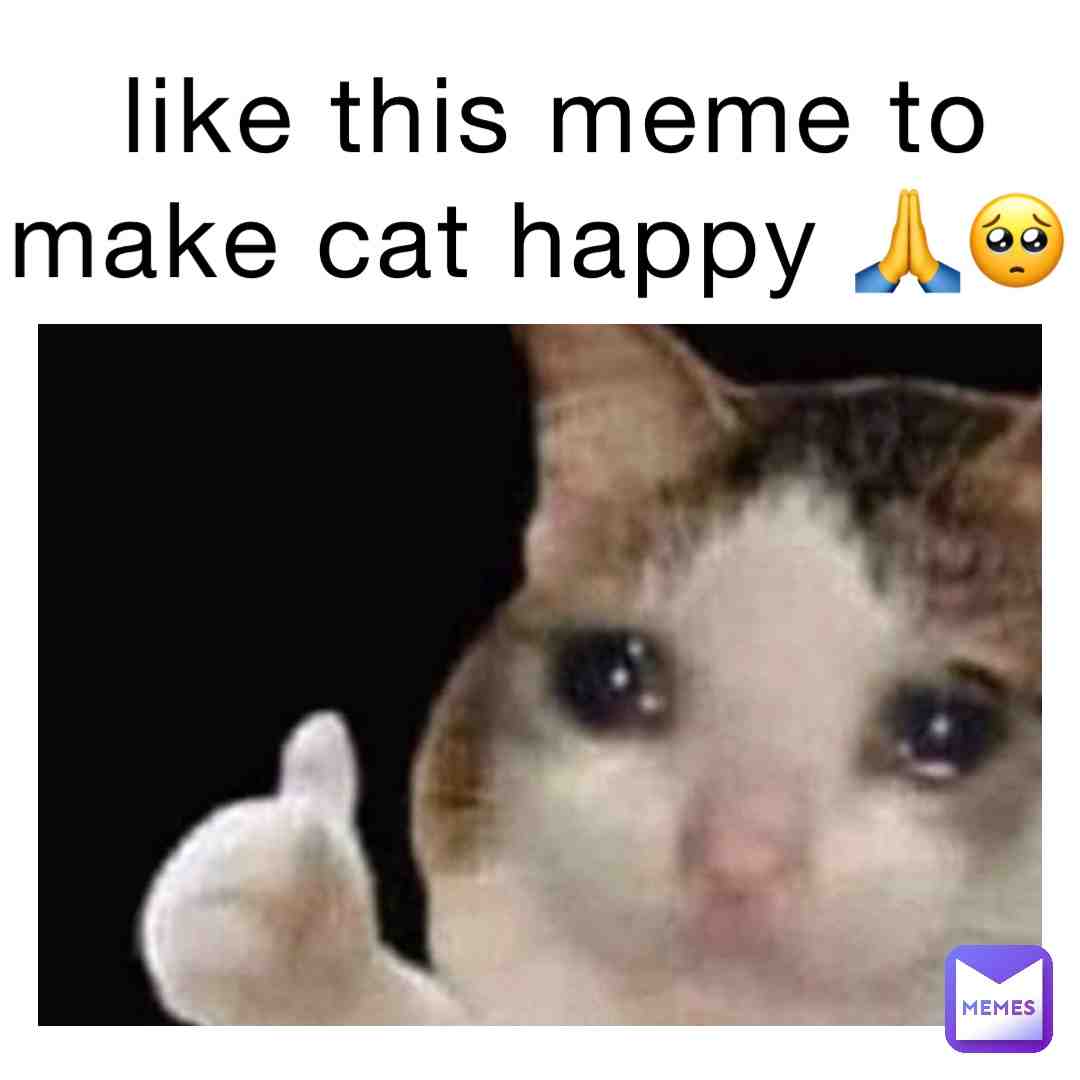 Help my memes be better