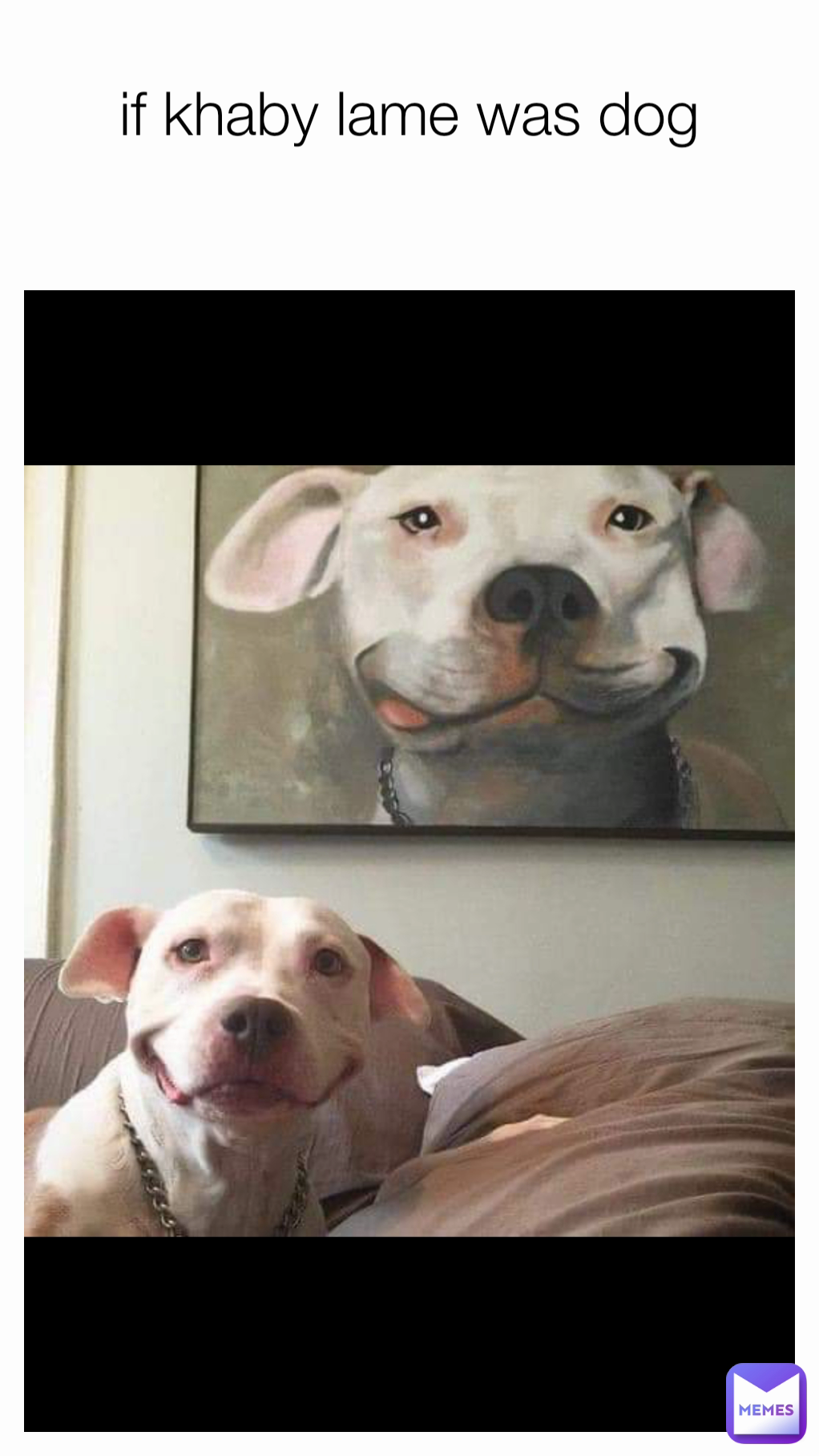 if khaby lame was dog
