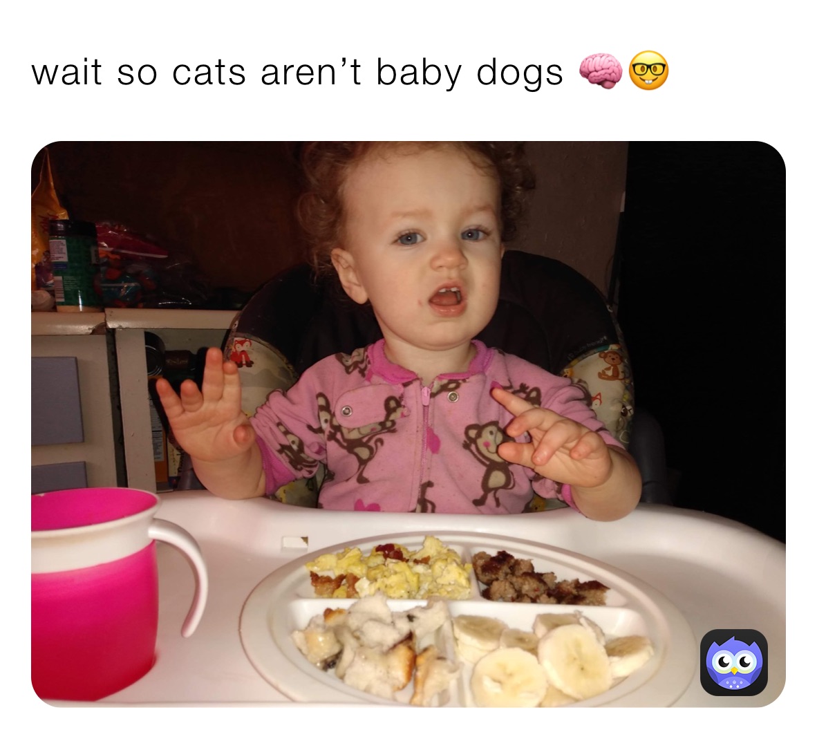 wait so cats aren’t baby dogs 🧠🤓