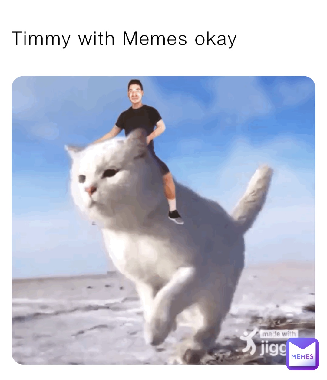 Timmy with Memes okay