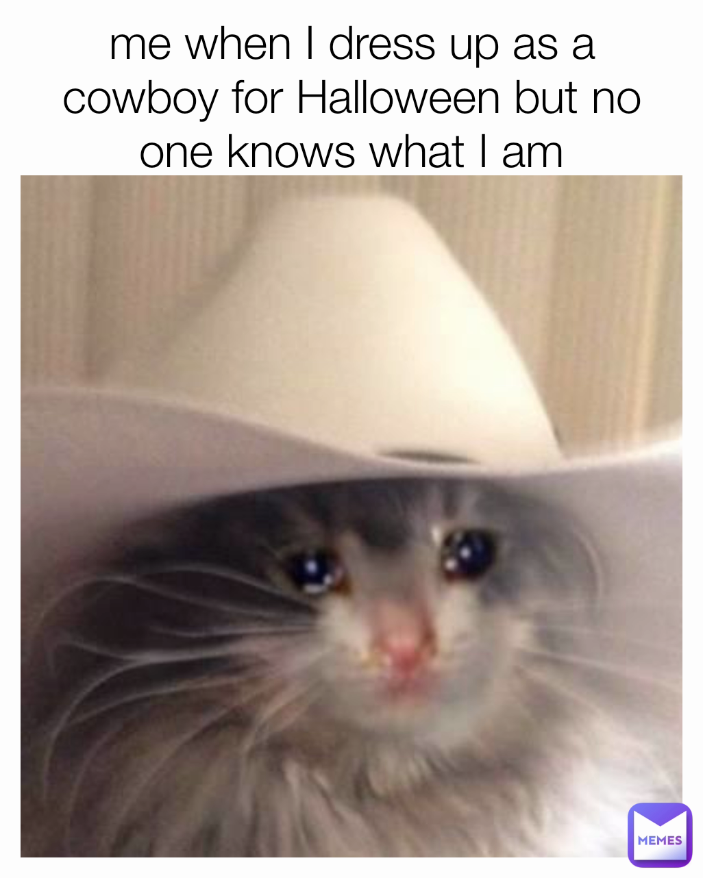 me when I dress up as a cowboy for Halloween but no one knows what I am