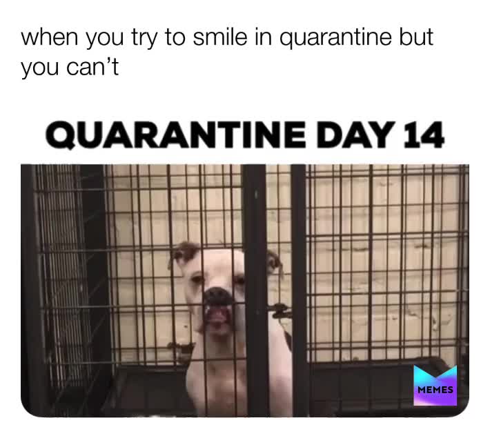 lol