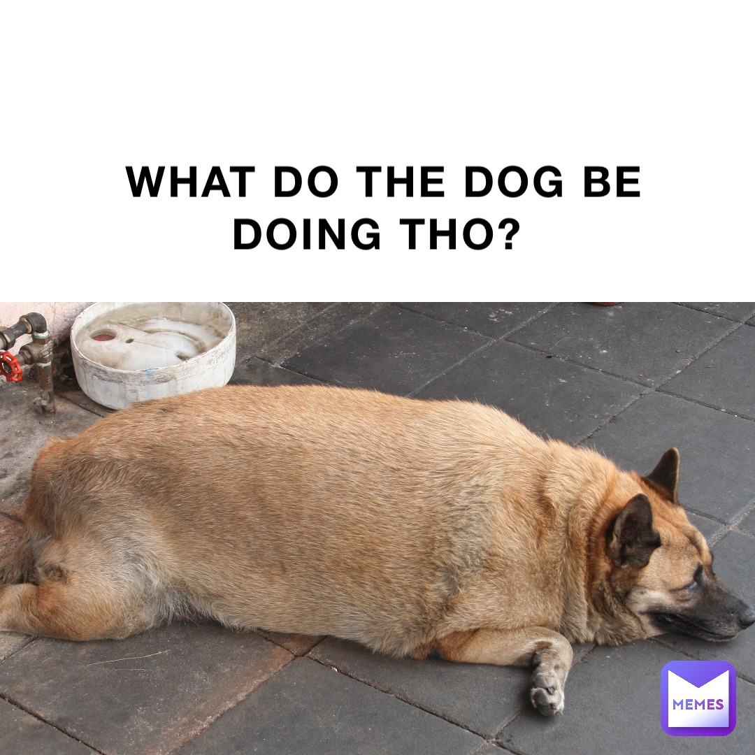 WHAT DO THE DOG BE DOING THO?