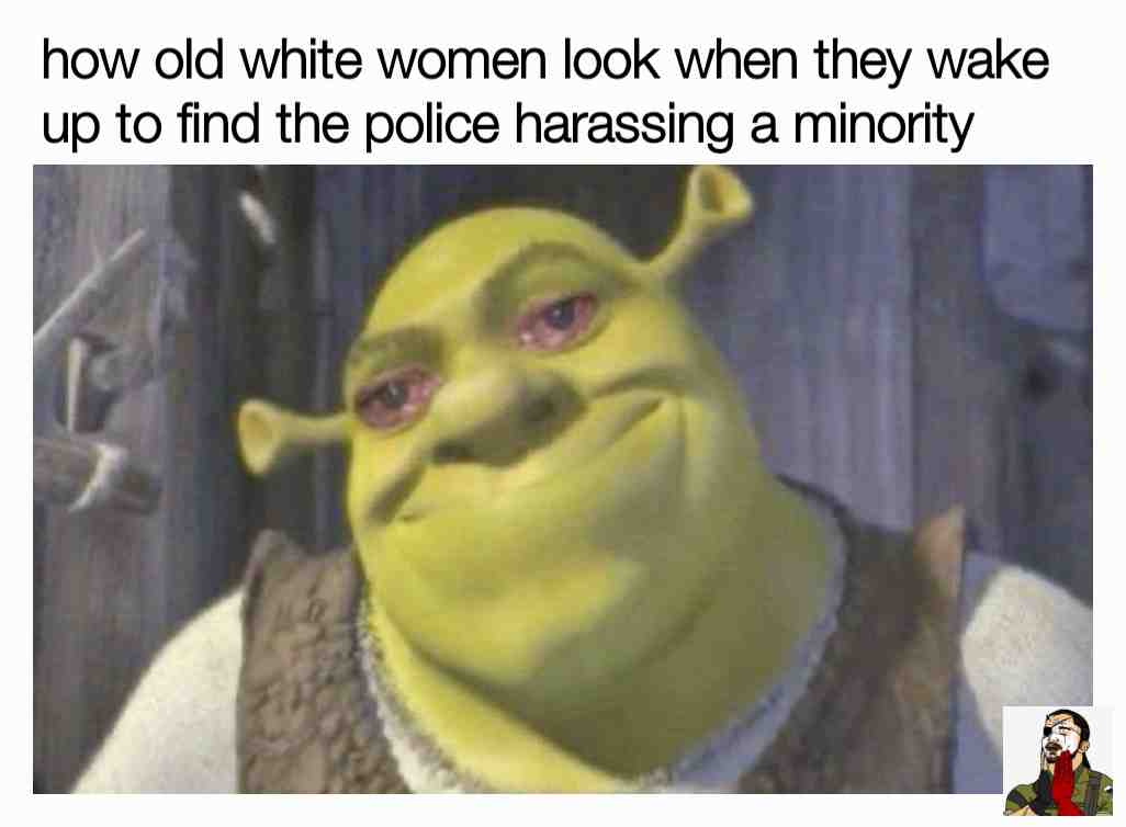 if you laugh your racist, if you dont, your a weeb. I dont make the rules guys, i just think em up and jot em down