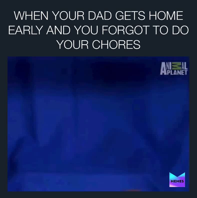 #foryou  #dad  #meme