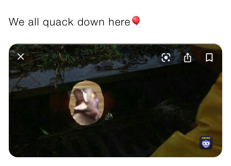 We all quack down here🎈