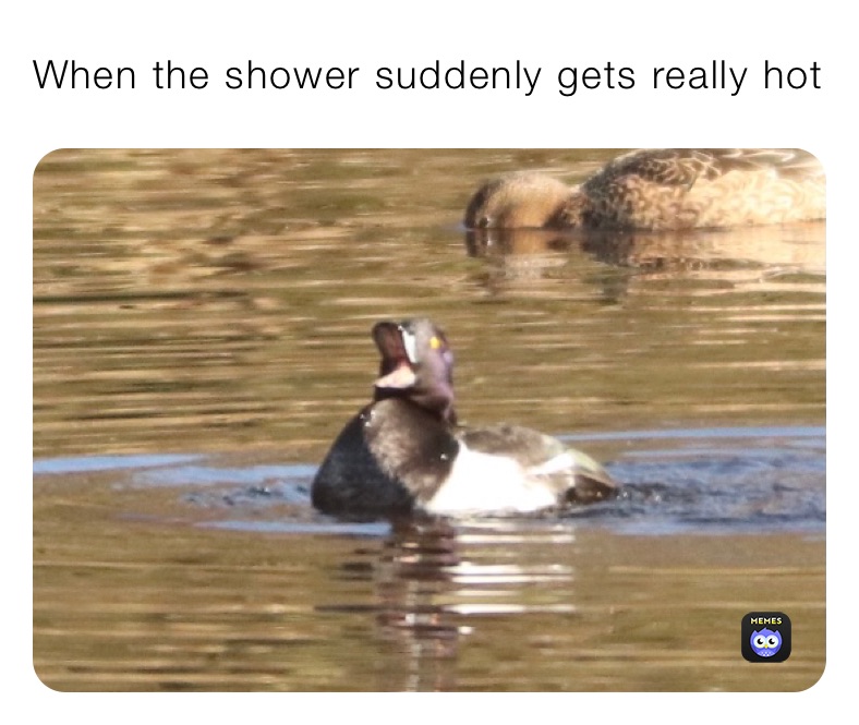 When the shower suddenly gets really hot