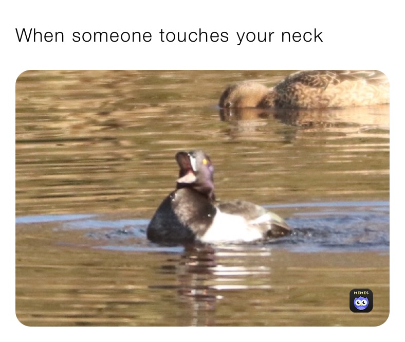 When someone touches your neck