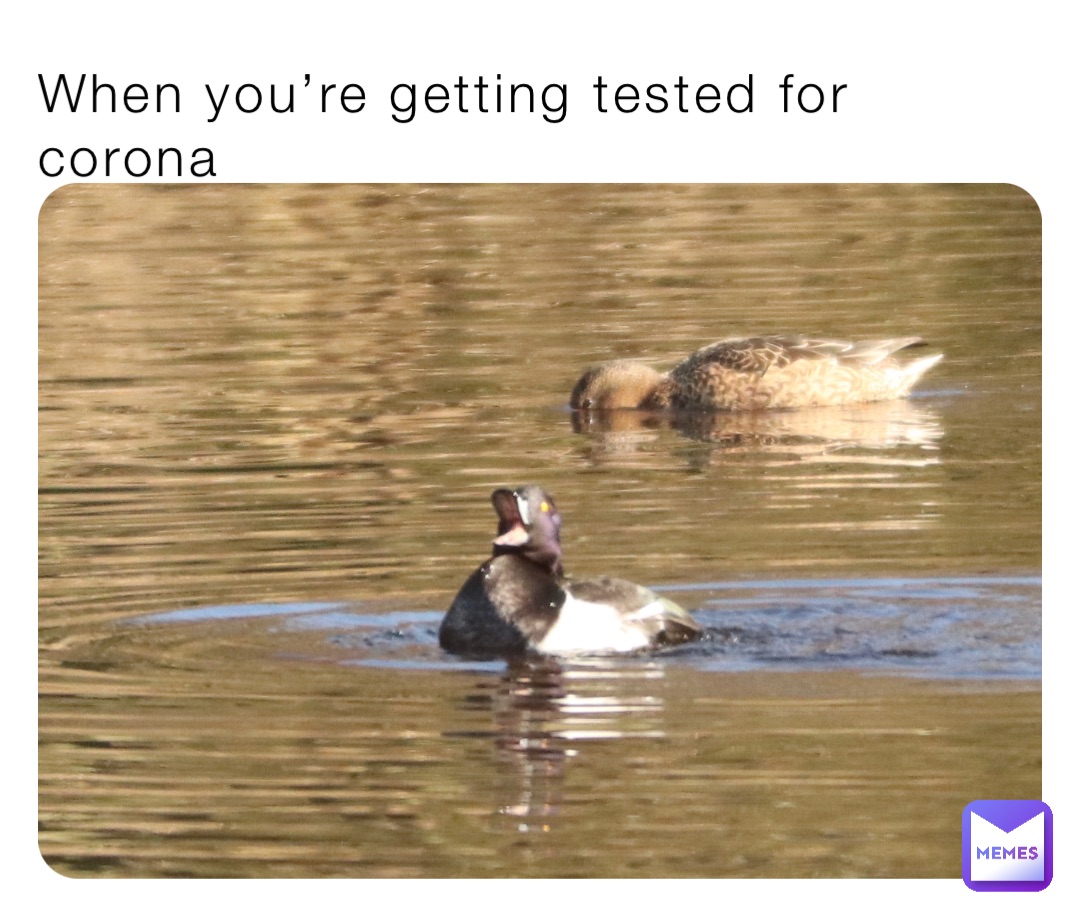 When you’re getting tested for corona