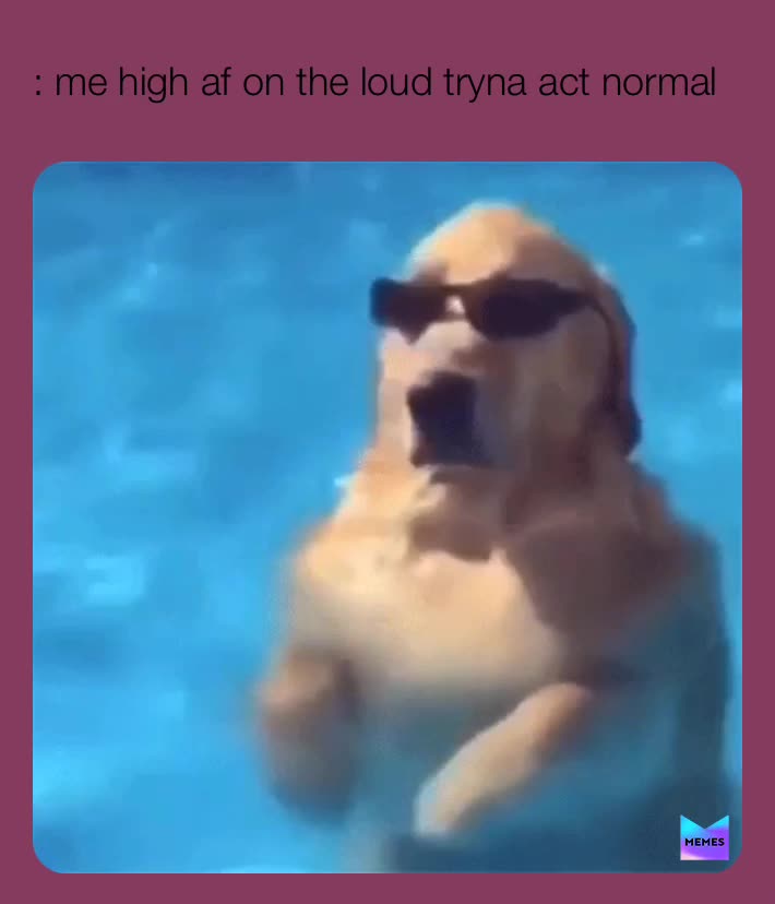 ​ #boof  #loud  ​ ​ #trees
