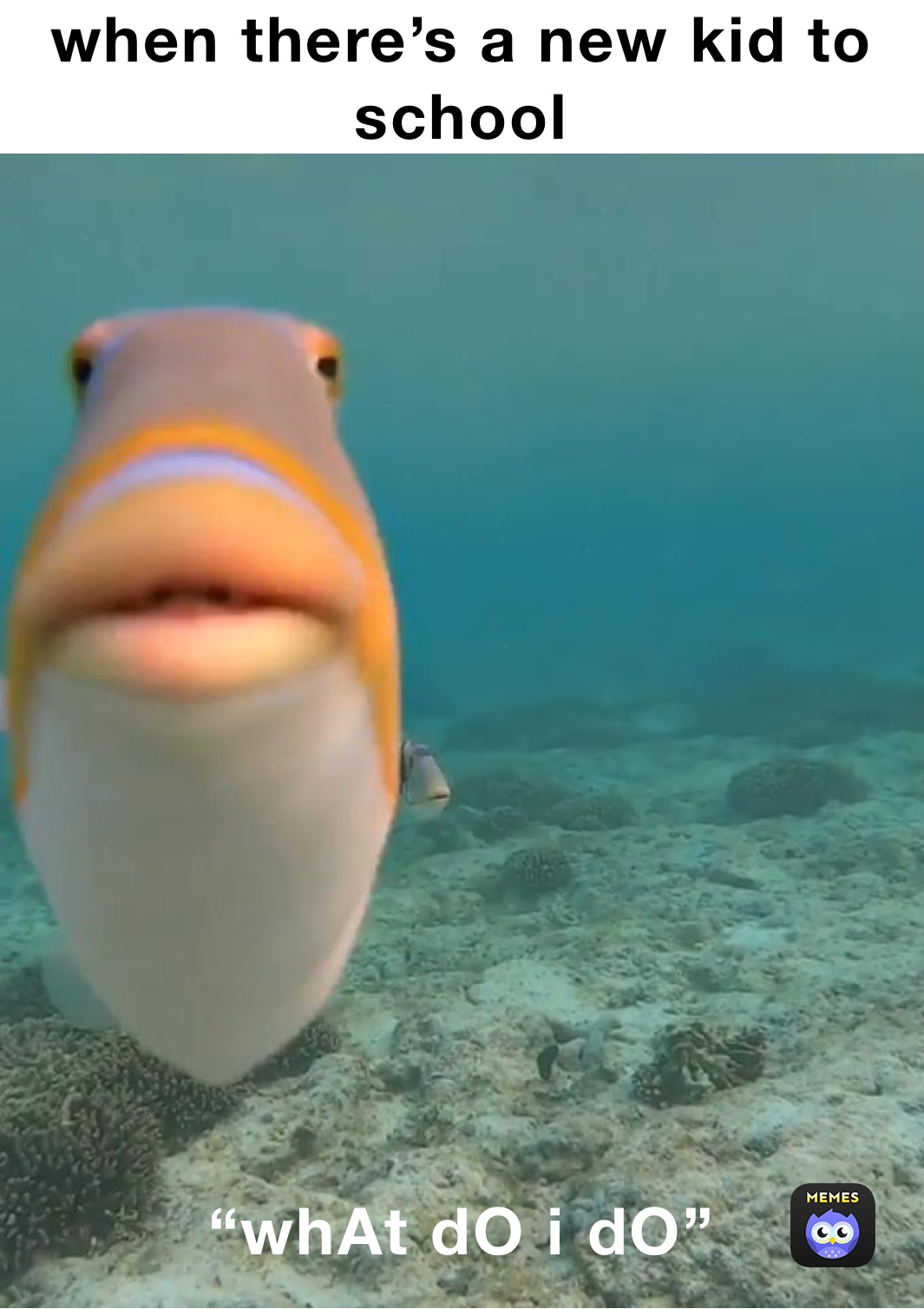 Meme by Chickennuggetboi45