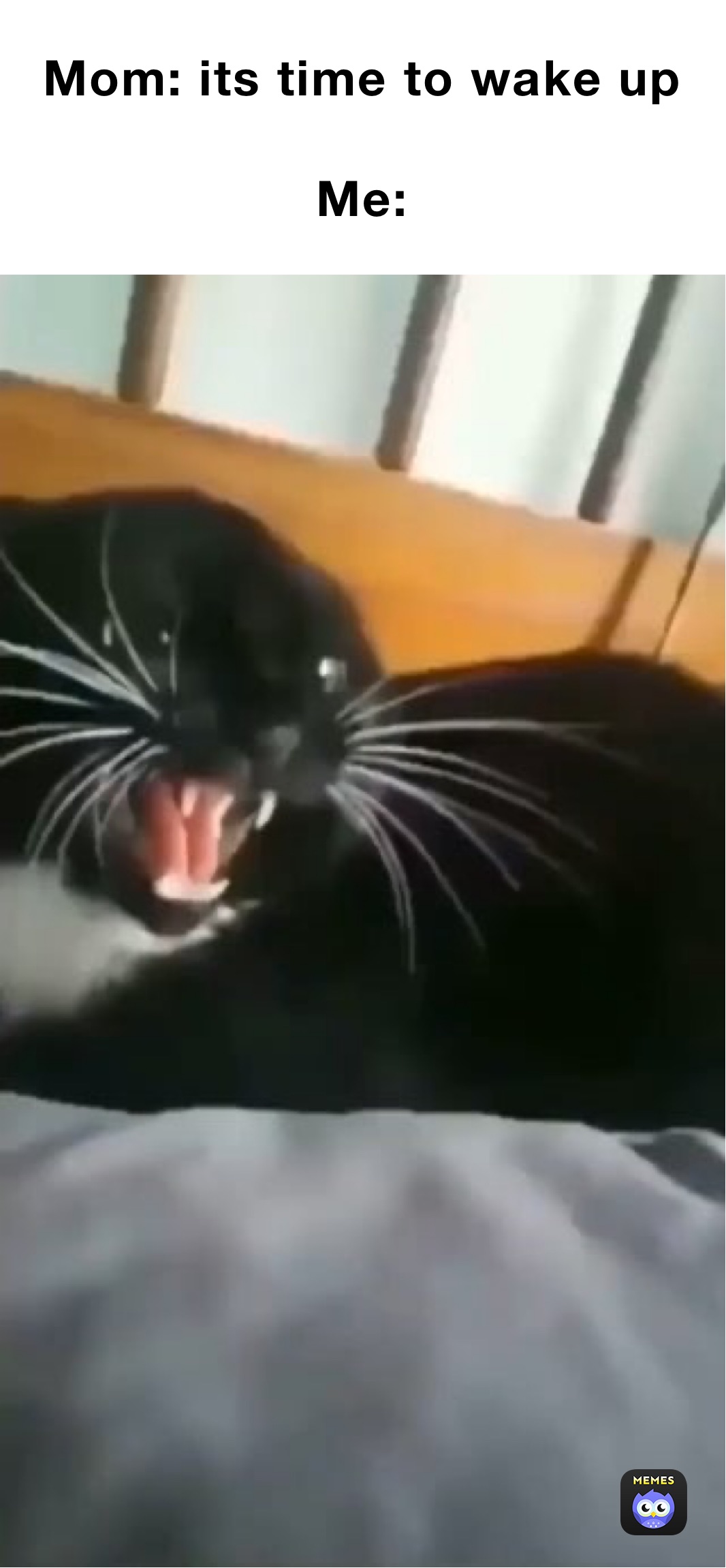 Meme by Chickennuggetboi45