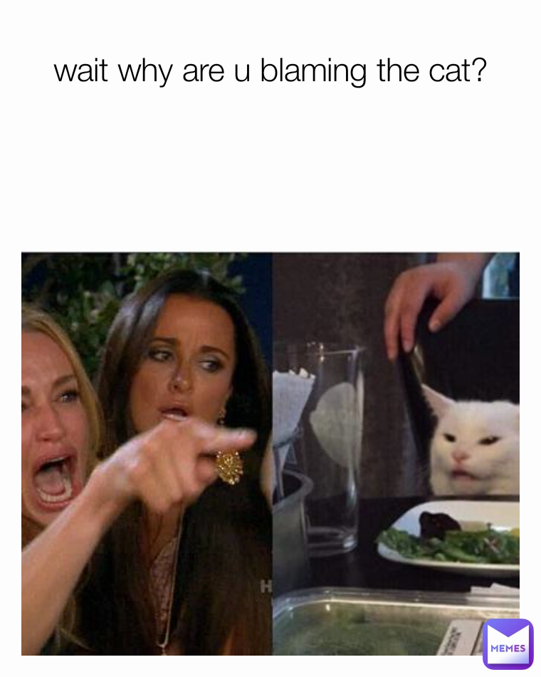 wait why are u blaming the cat? | @BlueBirdie | Memes
