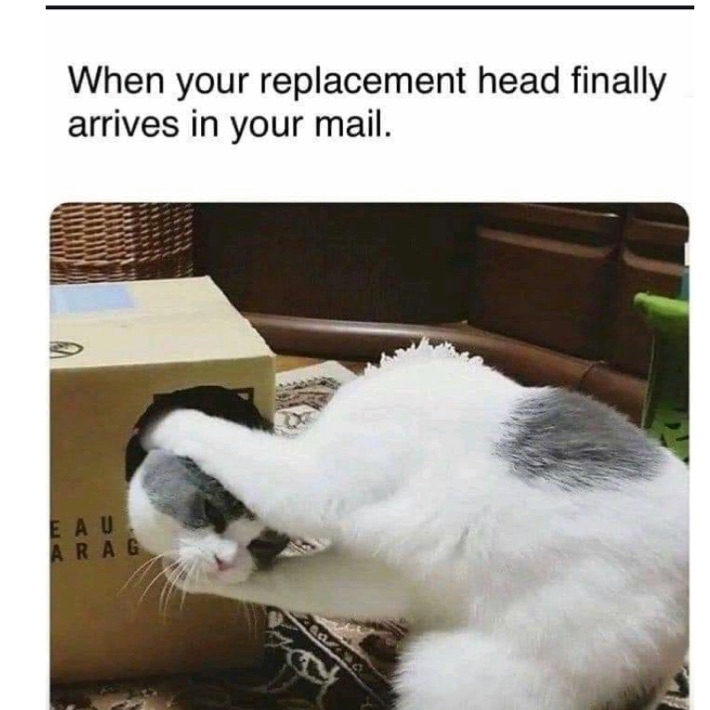 Meme by enjoy_these_memes