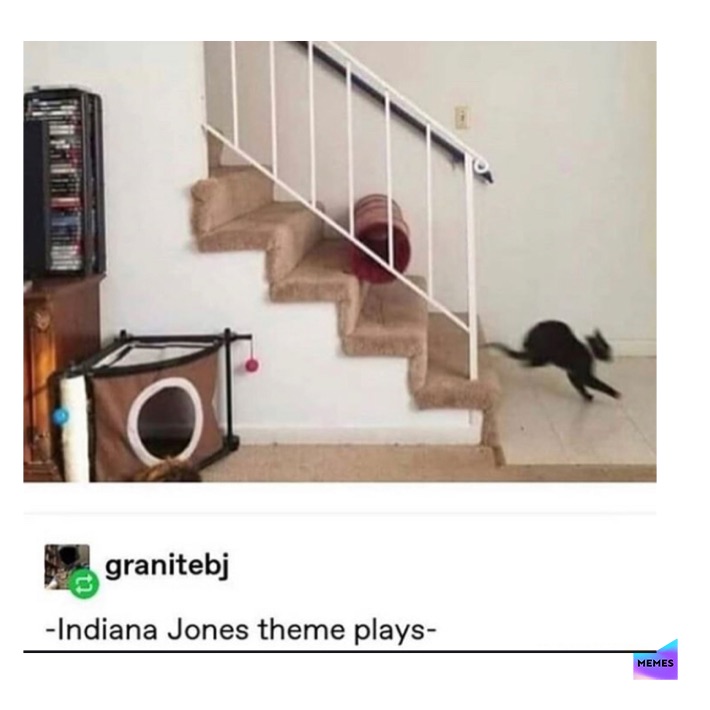 Meme by enjoy_these_memes