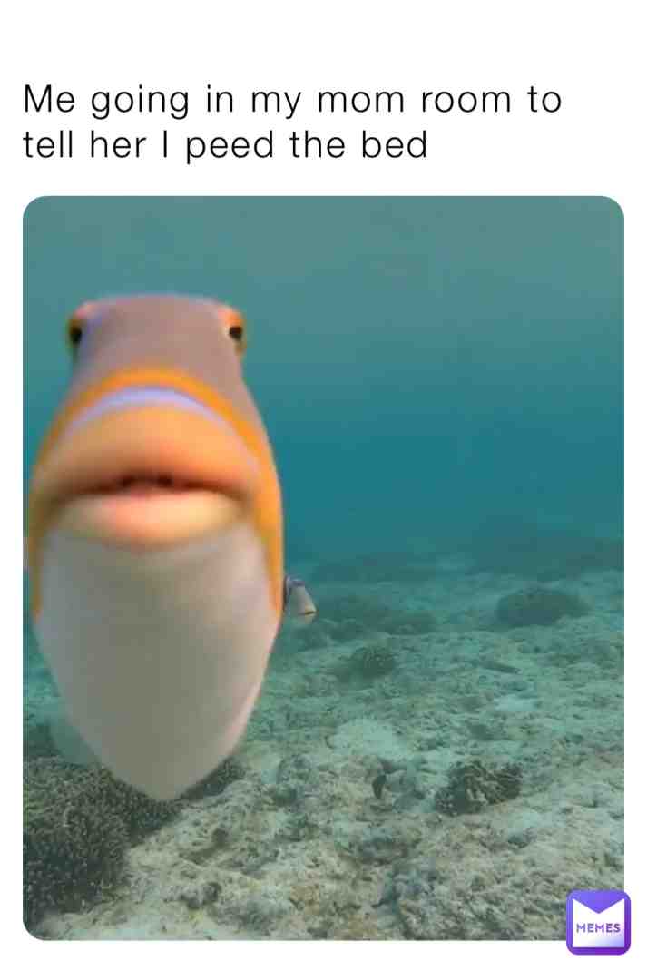Meme shared by @Nxvemberbunni