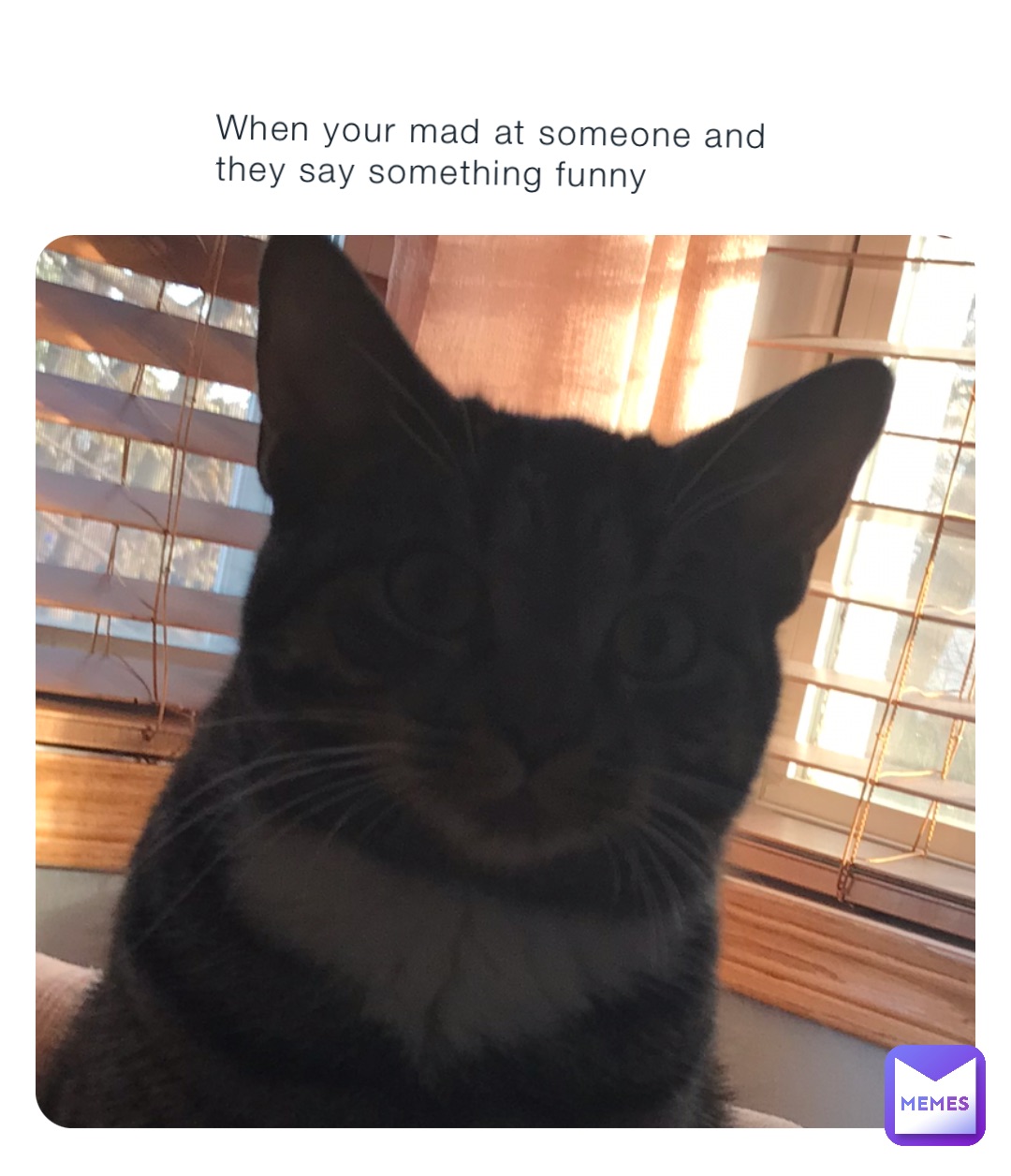 Meme by sara-mean-queen