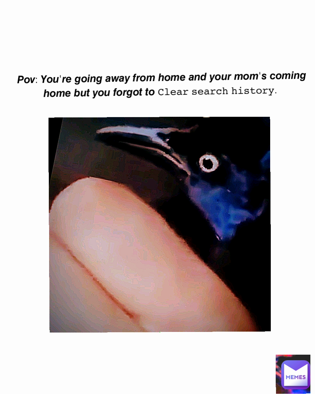 Meme by GinoVanOs1303