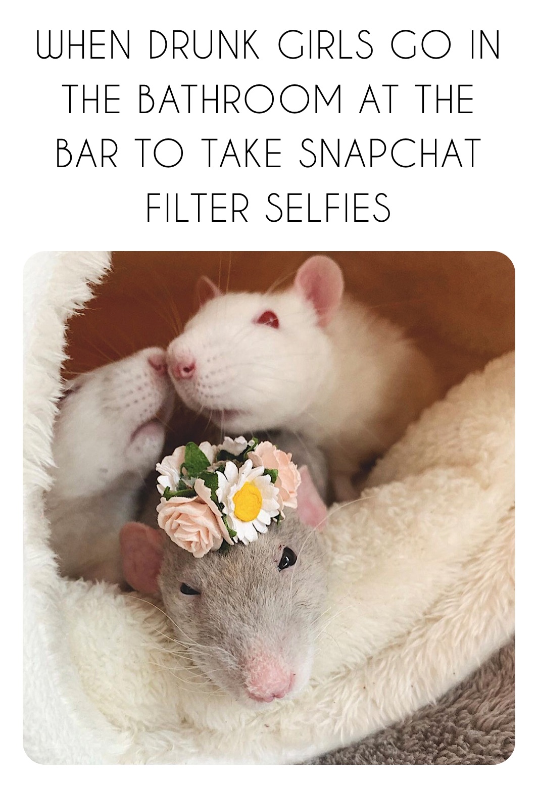 WHEN DRUNK GIRLS GO IN THE BATHROOM AT THE BAR TO TAKE SNAPCHAT FILTER SELFIES