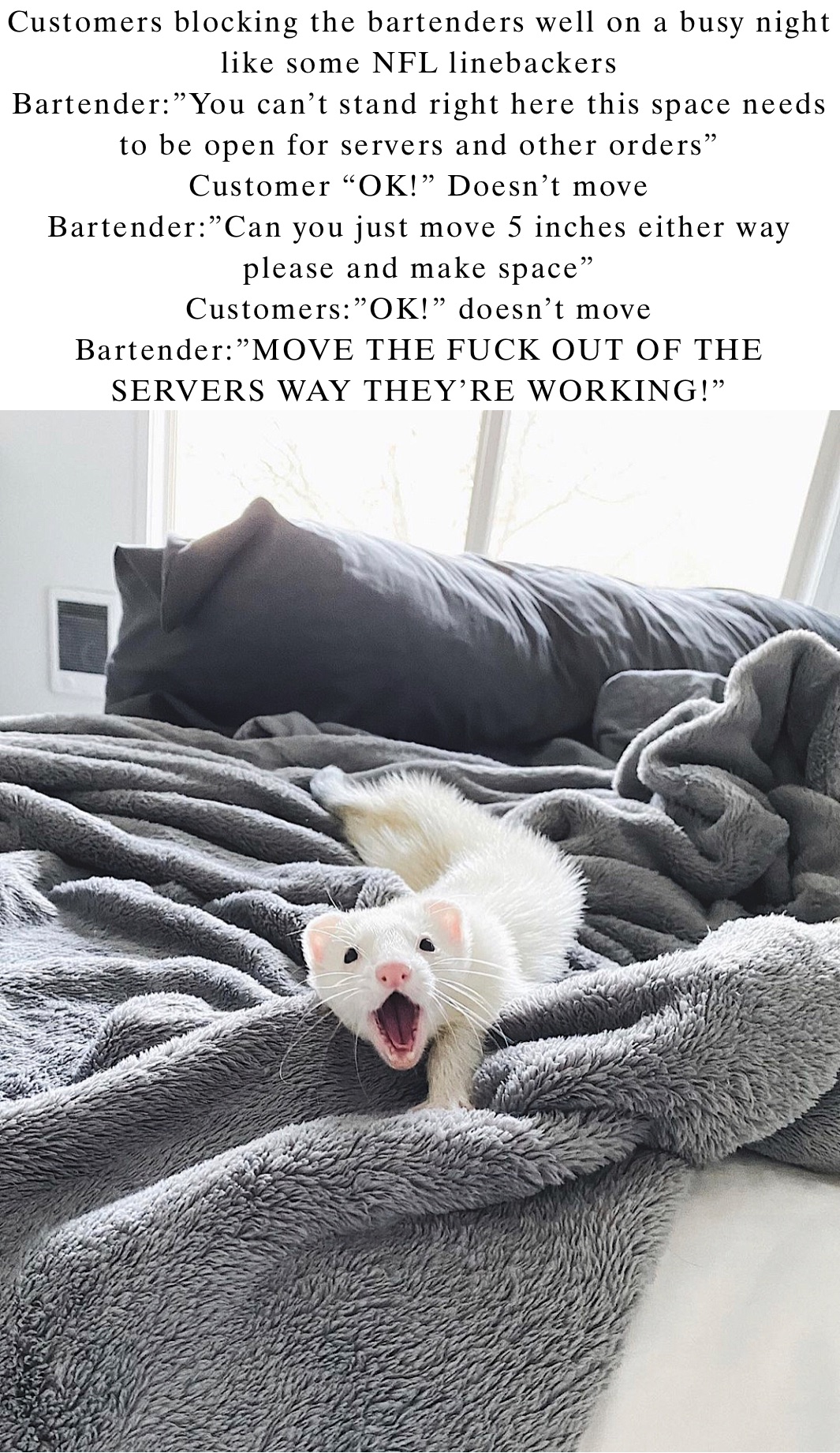 Meme by jamie.conze90