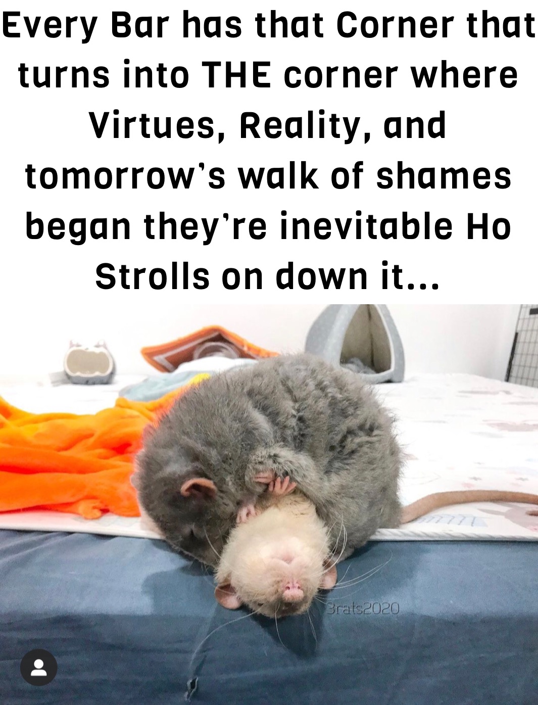 Meme by jamie.conze90