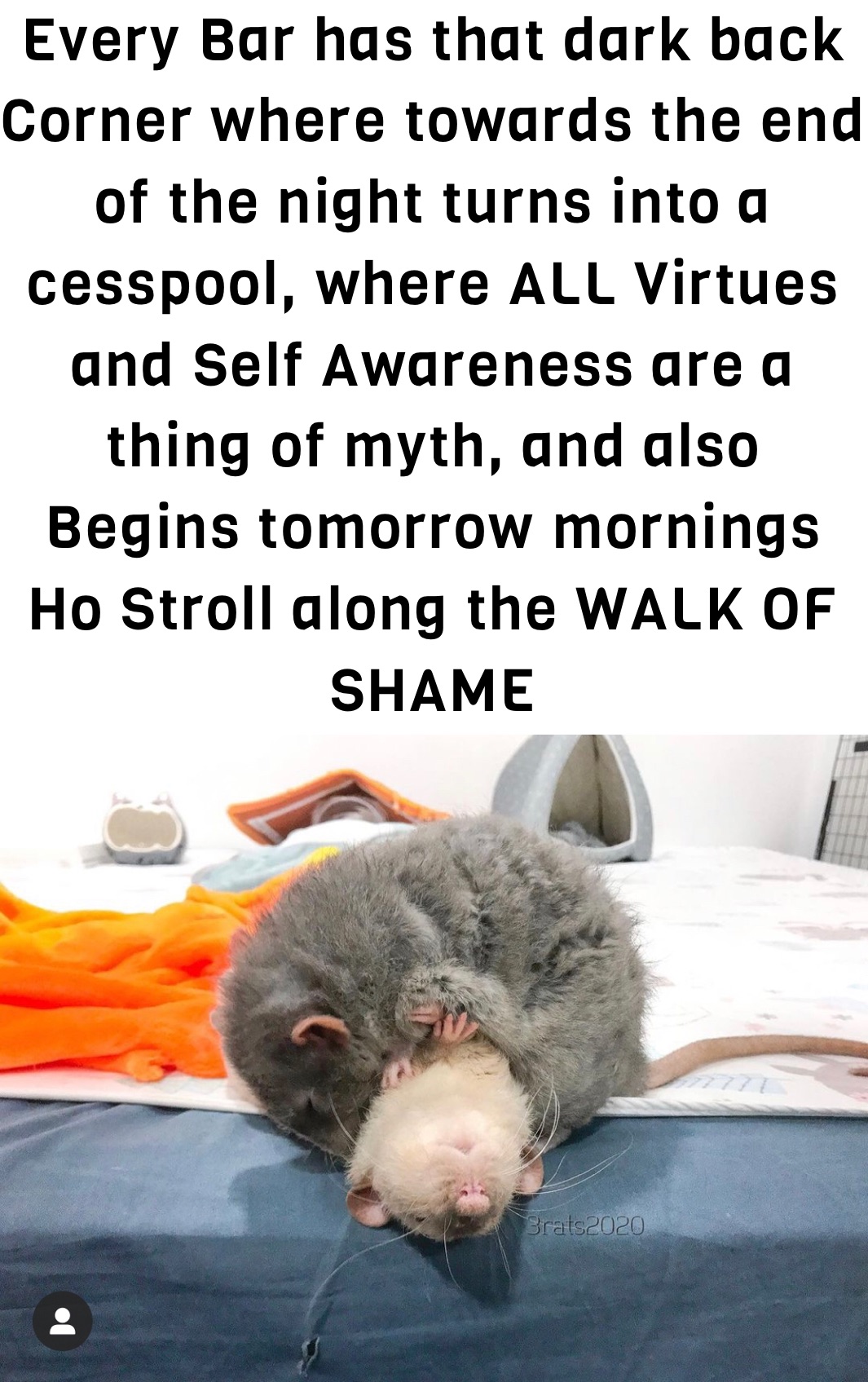 Meme by jamie.conze90