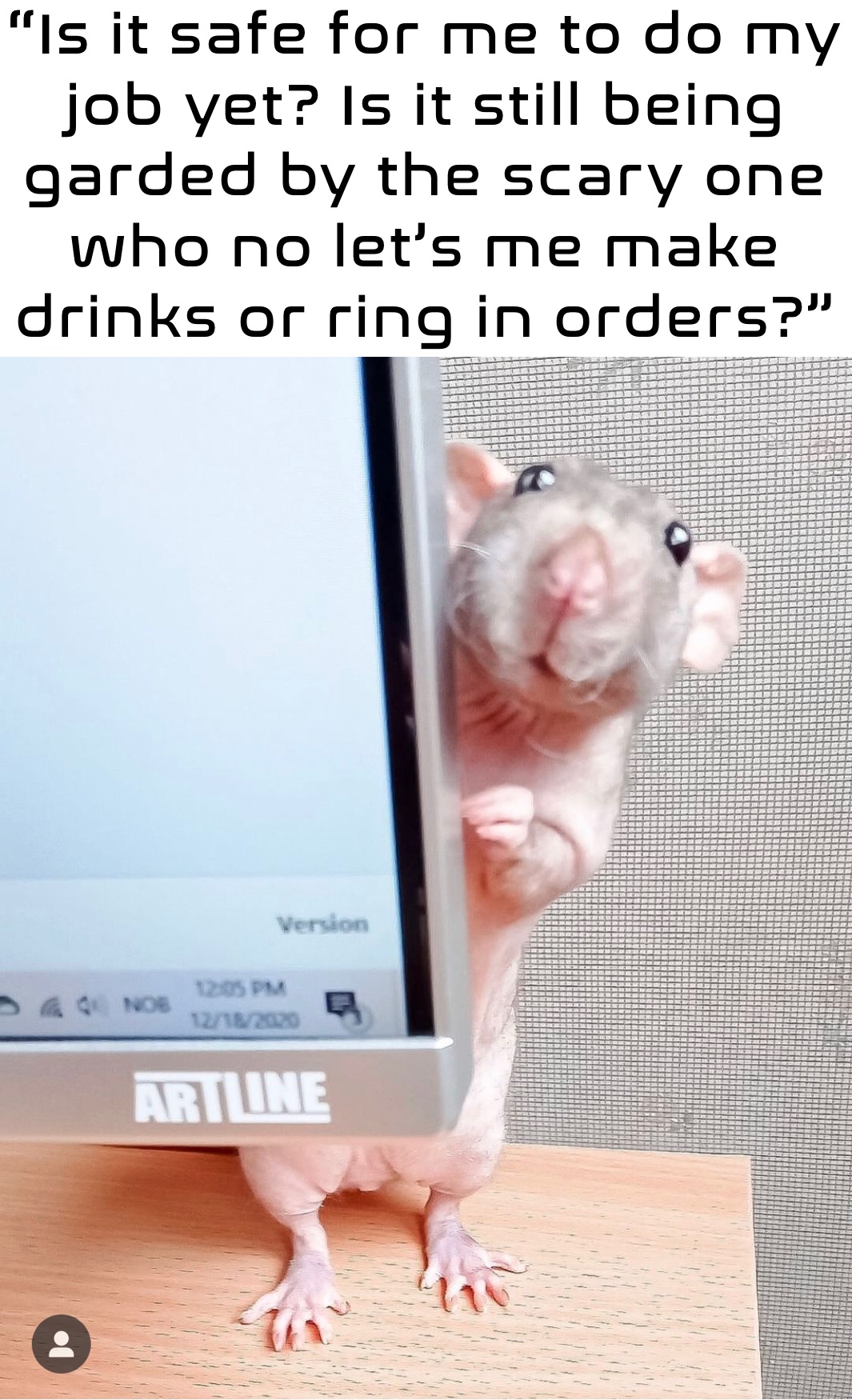 Meme by jamie.conze90