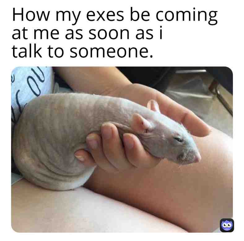 #boyfriendproblems #memes