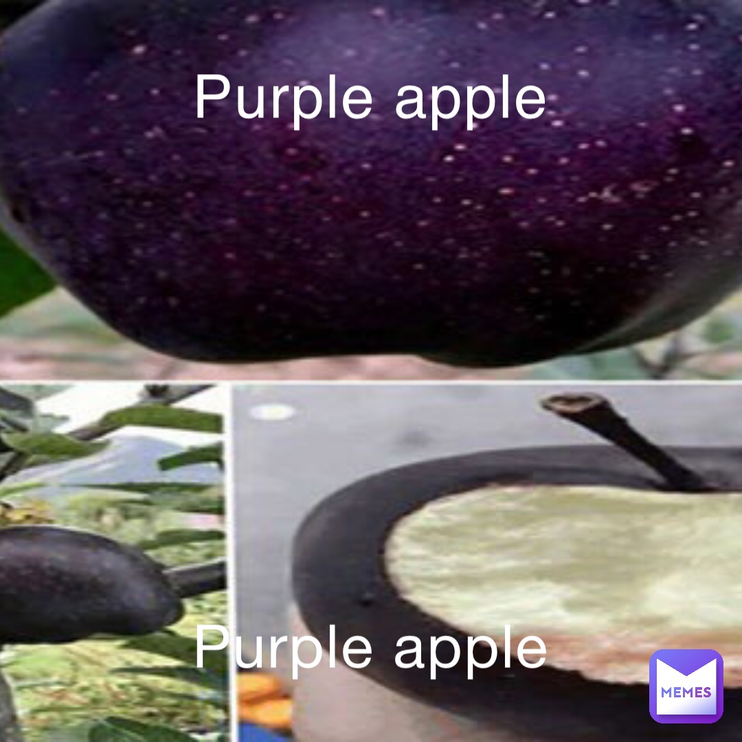 Purple apple Purple apple
