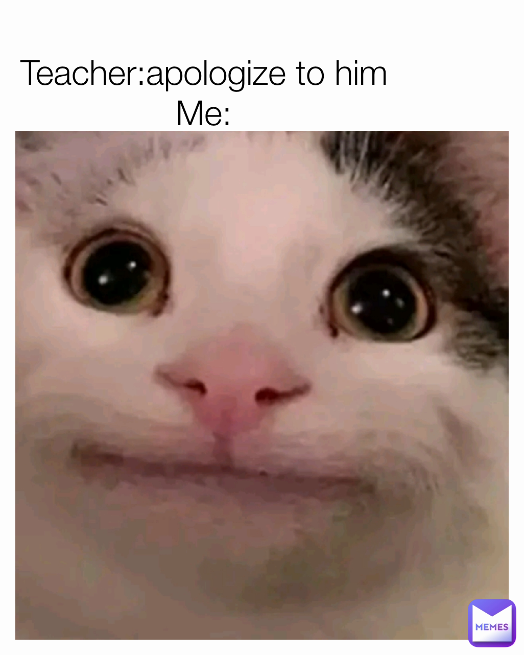 Teacher:apologize to him
Me: