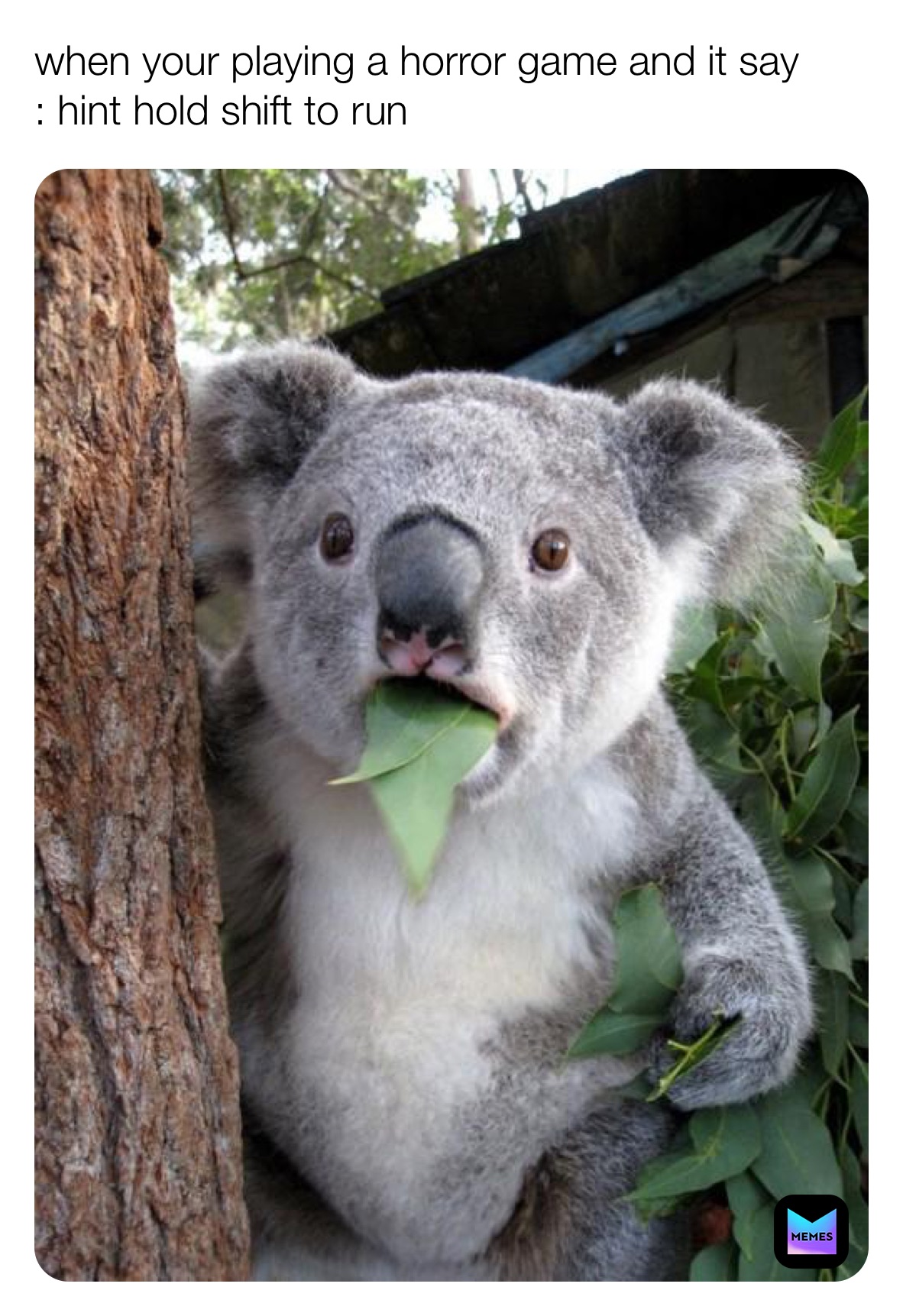 when your playing a horror game and it say
: hint hold shift to run 