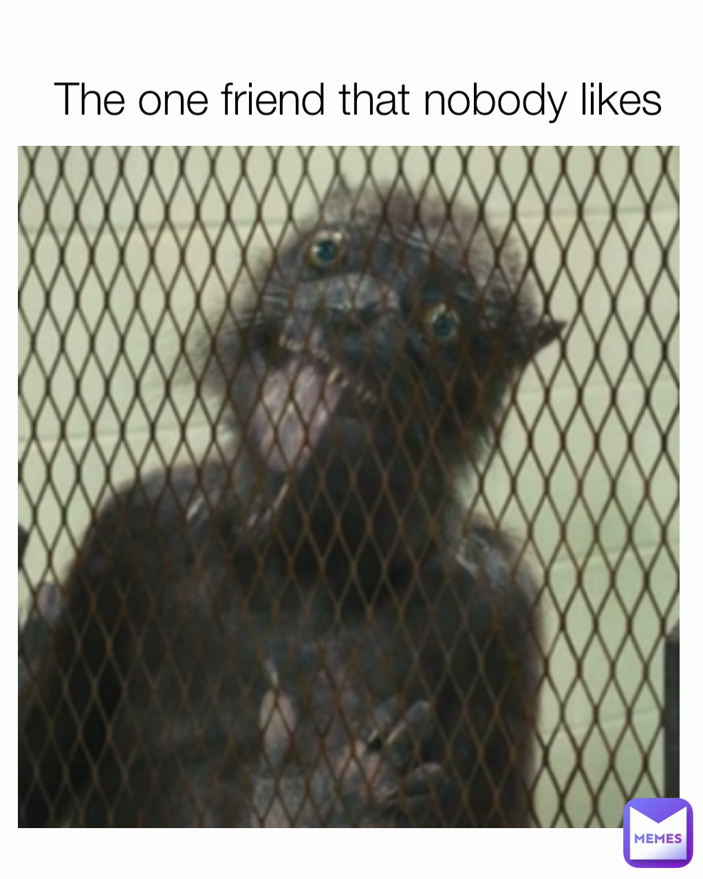 The one friend that nobody likes