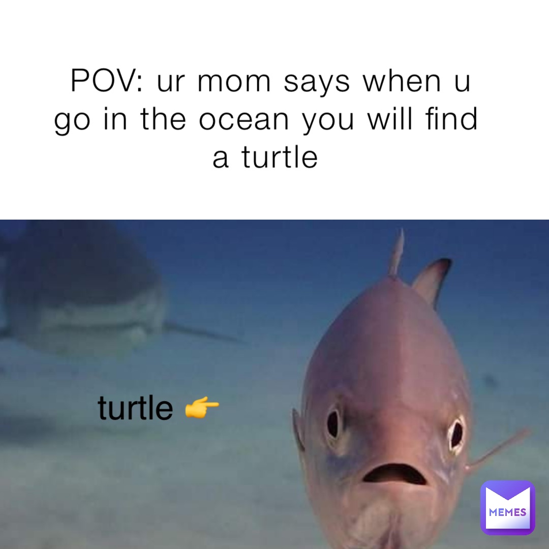 Pov Ur Mom Says When U Go In The Ocean You Will Find A Turtle Turtle 👉 Iego Memes